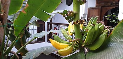Riad Mehdia