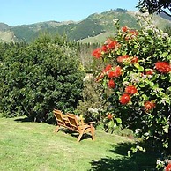 Vista del Sol