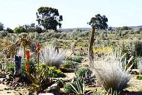 Inverdoorn Private Game Reserve