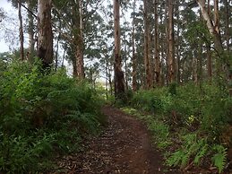 Margarets Forest