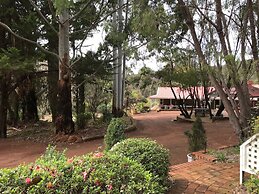 Forest Lodge Resort