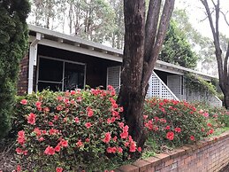 Forest Lodge Resort