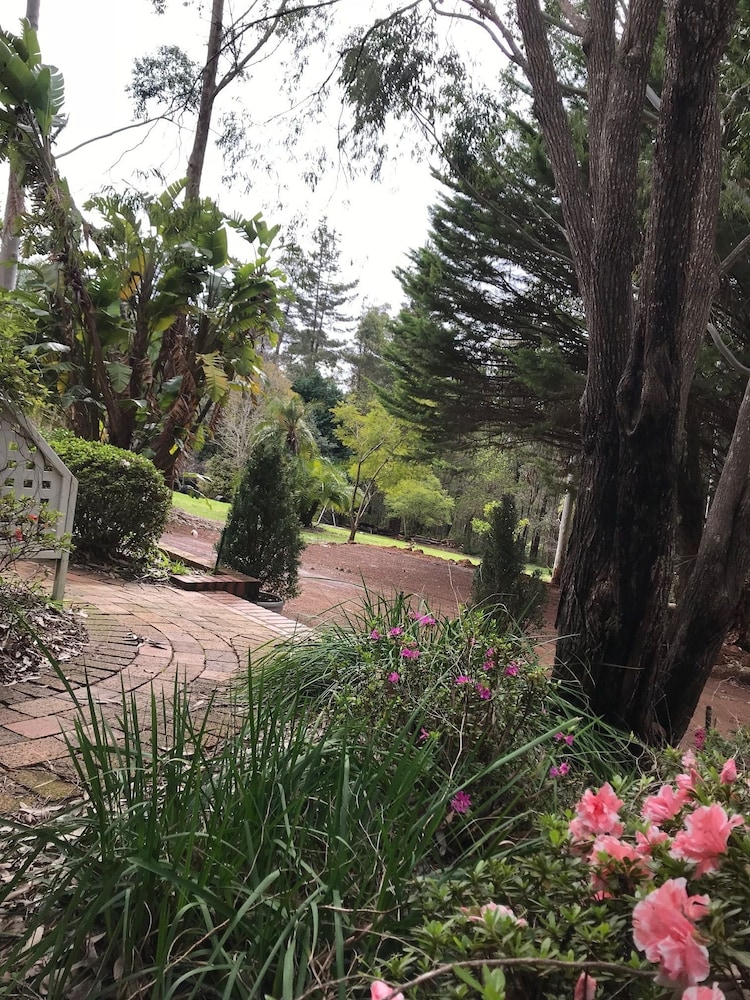 Forest Lodge Resort