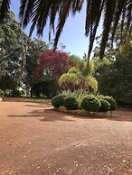 Forest Lodge Resort
