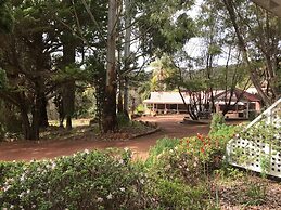 Forest Lodge Resort