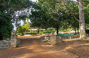 Forest Lodge Resort