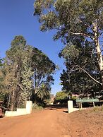 Forest Lodge Resort