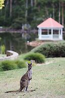 Forest Lodge Resort