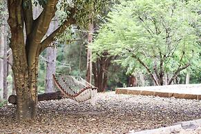 Forest Lodge Resort