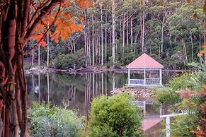 Forest Lodge Resort
