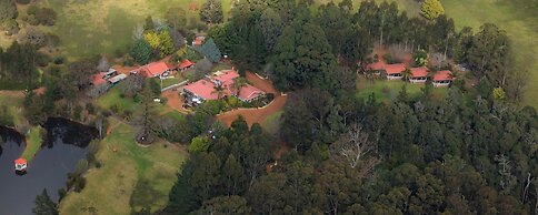Forest Lodge Resort