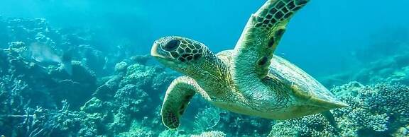 Ningaloo Lodge Exmouth