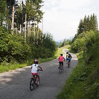 Il Cervo