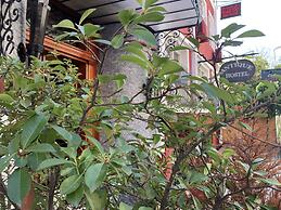 Antique Hostel & Guesthouse