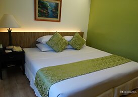 Hotel Fleuris Palawan