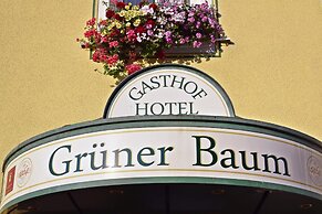 Hotel & Gasthof Grüner Baum