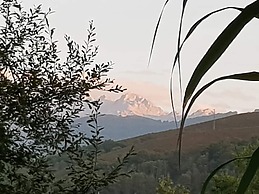 Azabache