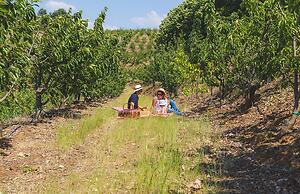 Quinta da Barroca