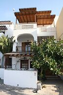 Amorani Studios