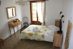 Amorani Studios
