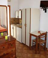 Amorani Studios