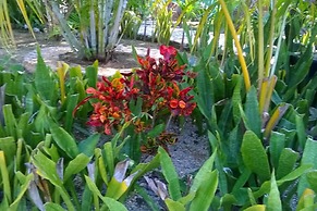 Villa Tortugas