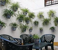 Hotel Almona