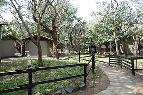 Isinkwe Backpackers Bushcamp