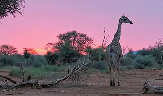 Tuningi Safari Lodge