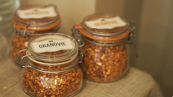 Villa des Raisins
