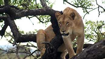 Rhino River Lodge