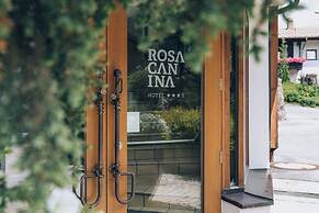 Rosa Canina