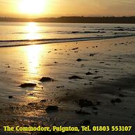 The Commodore