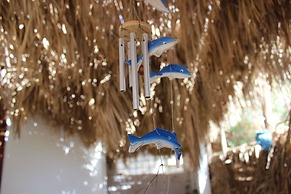 Rayhana Guest House
