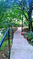 Abad Green Forest
