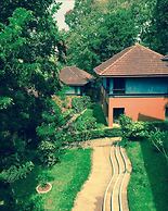 Abad Green Forest