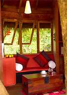 Rainforest Boutique Resort
