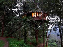 Rainforest Boutique Resort