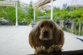 Holiday Cave Hotel