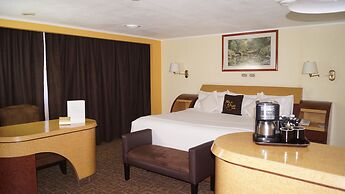 Hotel Real del Sur