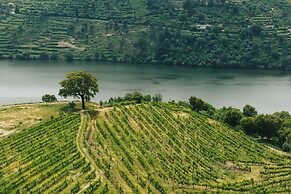 Douro Palace Hotel Resort and Spa