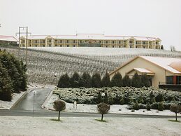 Turners Vineyard