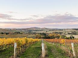 Turners Vineyard