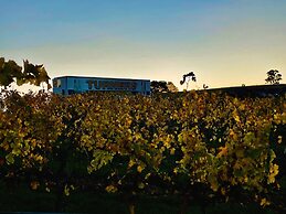 Turners Vineyard