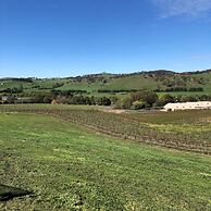 Turners Vineyard