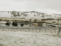 Turners Vineyard