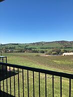 Turners Vineyard