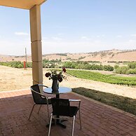 Turners Vineyard