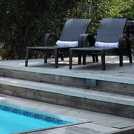 Bushwillow Collection