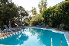 Dimitra Studios